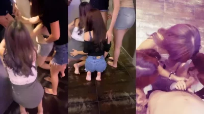 个个如狼似虎争抢鸡巴的宠幸